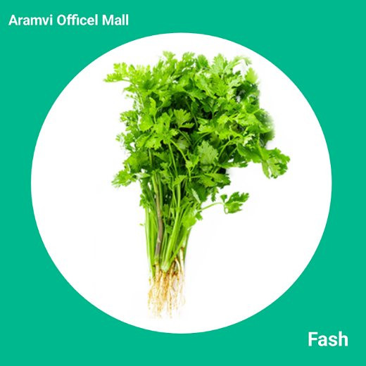 Coriander Leaf