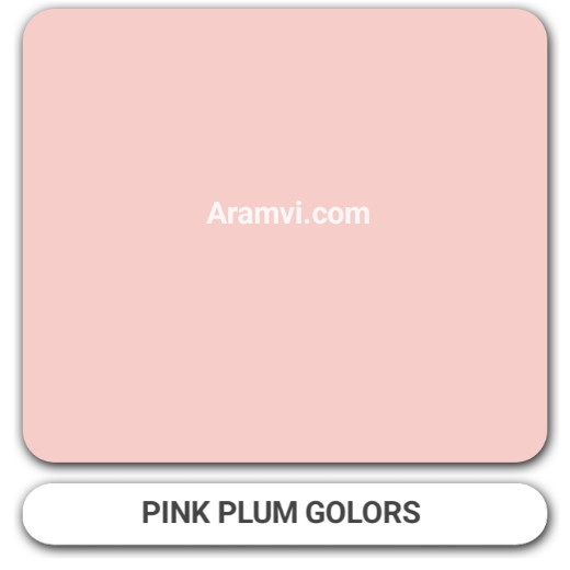 Berger Plastic Paint Colors Pink Plum