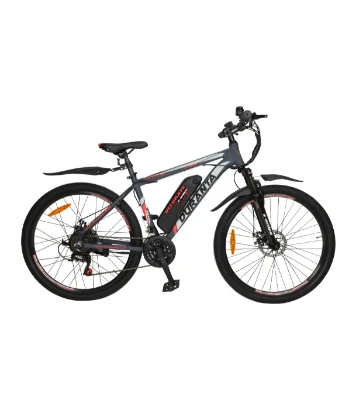 Duranta E-Rider-101 Electric Cycle